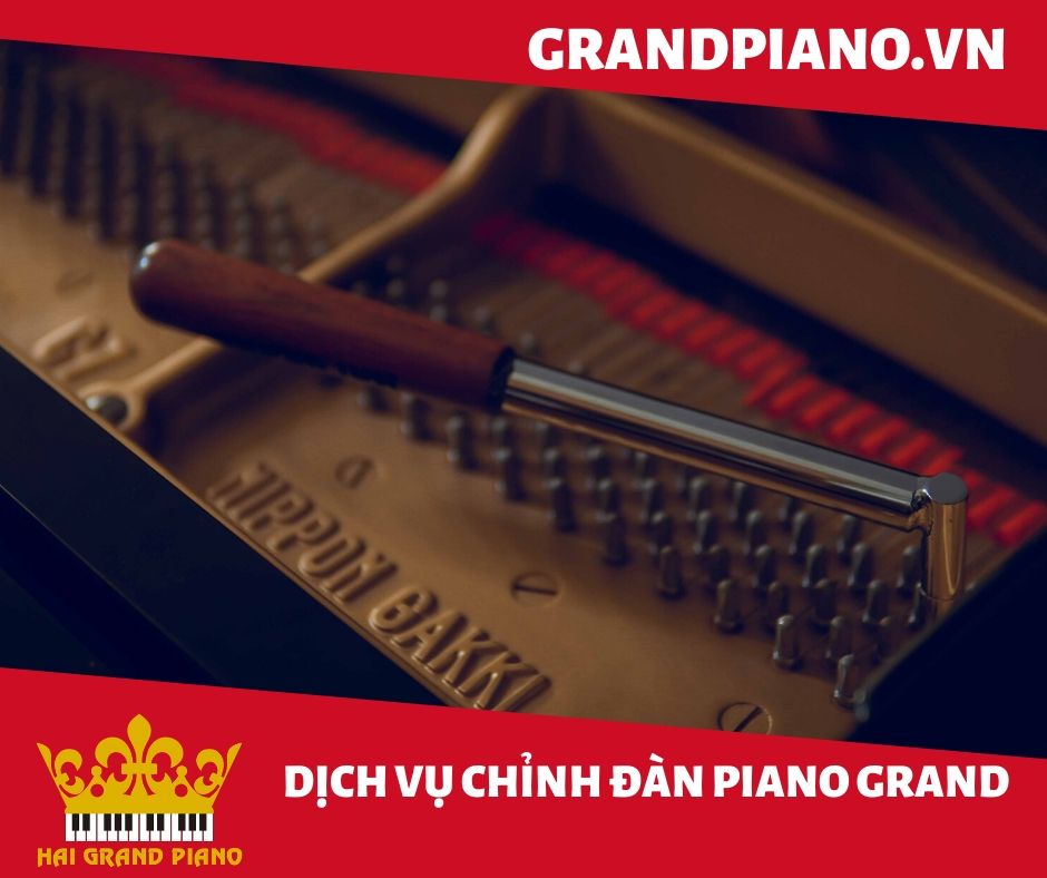 len-day-piano-yamaha-c7-2