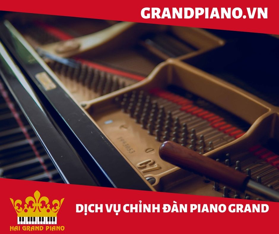len-day-piano-yamaha-c7-4