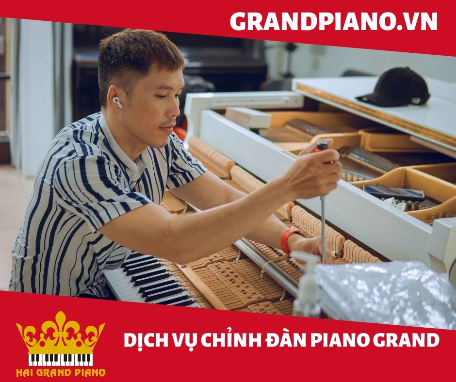 LÊN DÂY ĐÀN PIANO CƠ GRAND 