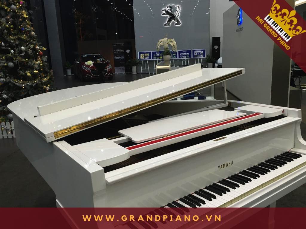 grand-yamaha-white-g5_003