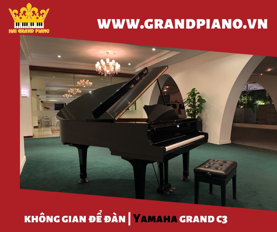 Không Gian Để Đàn Grand Piano C3