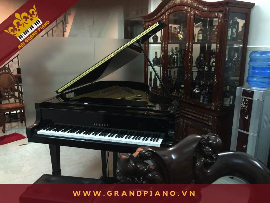 HOÀNG NGUYÊN | Không Gian Để Đàn Grand Piano Yamaha G5E | Quận Tân Bình