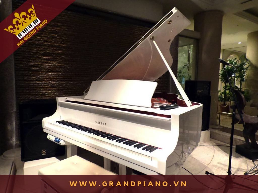 MINH HƯNG | ĐÀN GRAND PIANO YAMAHA G5 WHITE | QUẬN 7