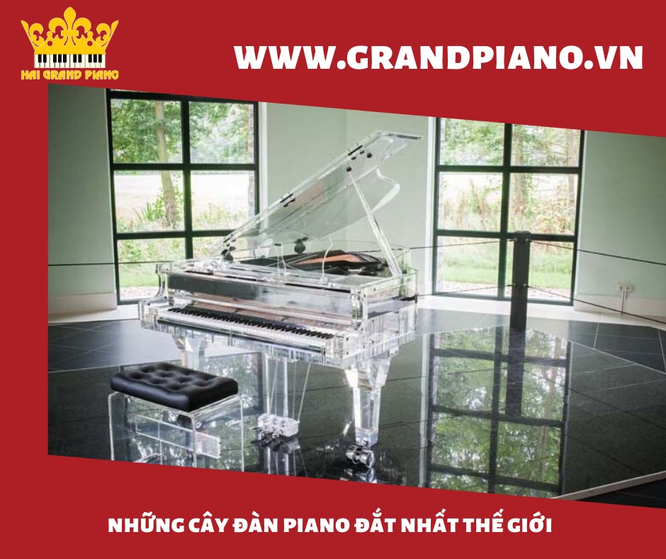 dan-piano-dat-nhat-the-gioi_004