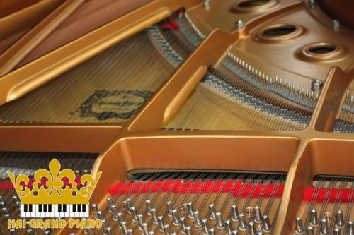 C3L-GRAND-PIANO-DAN-3