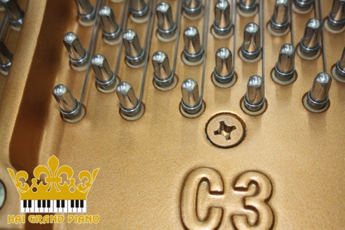 C3L-GRAND-PIANO-DAN-4
