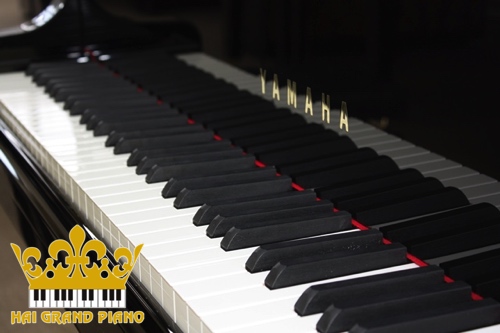 C3L-GRAND-PIANO-DAN-7