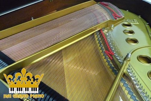 Louis XV-5