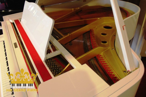 GRAND-G2-YAMAHA-TRANG-3