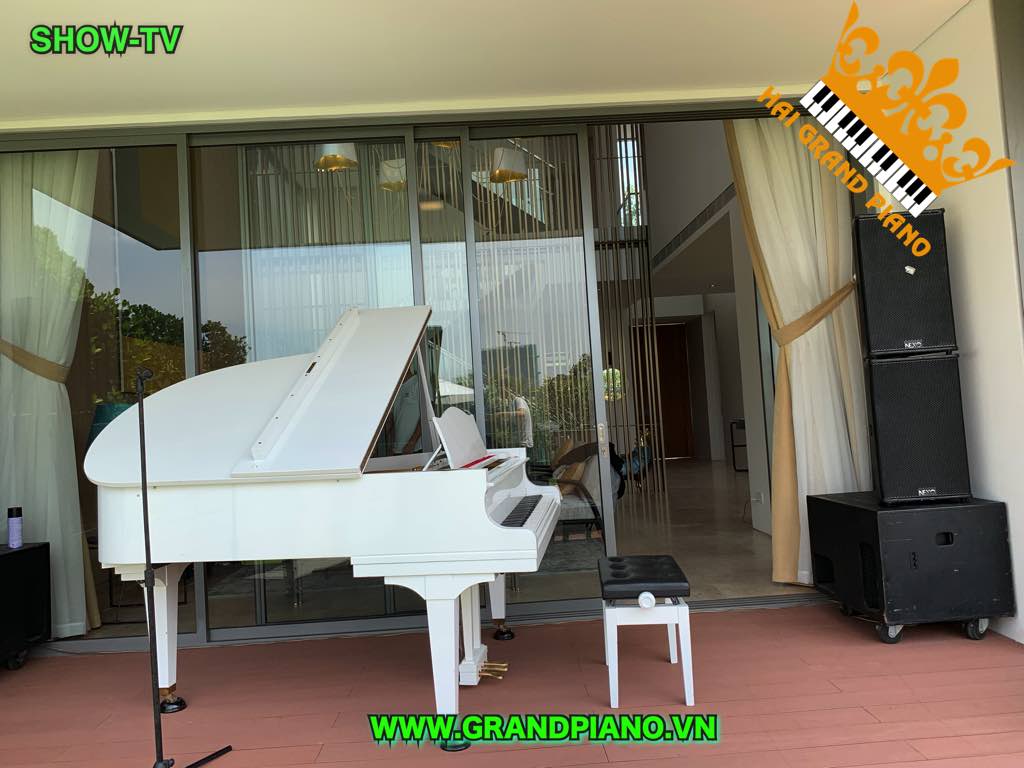 GRAND-PIANO-DIAPASON-2