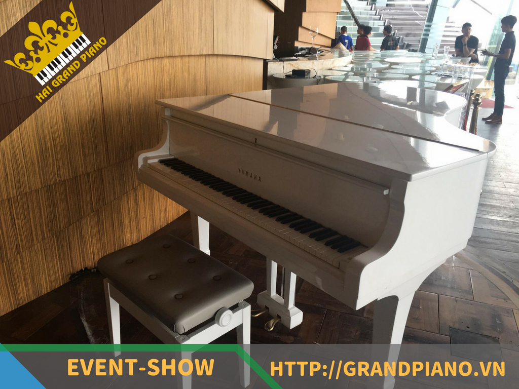 grand-g3d