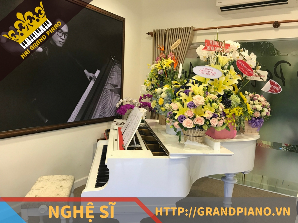 Nghệ Sĩ Piano Tuấn Mạnh - Grand Piano Yamaha No.20