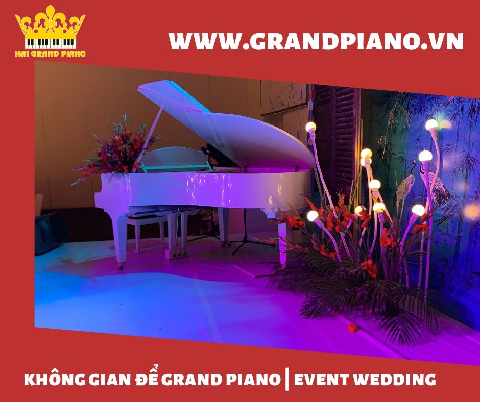 grand-piano-diâpson-6