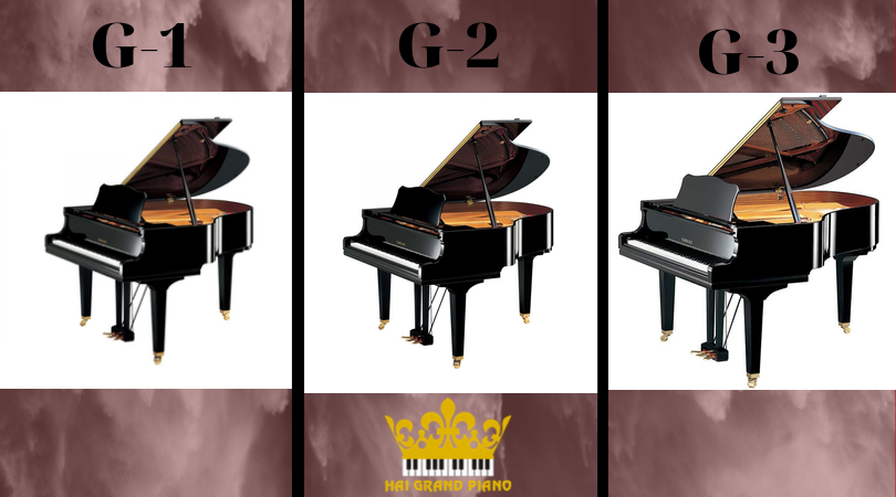 Sự Khác Nhau Giữa Grand Piano G1 - G2 - G3 Yamaha