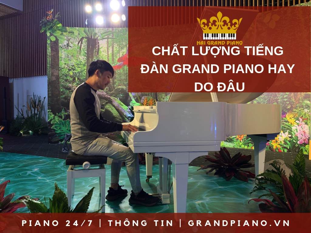 CHẤT LƯỢNG TIẾNG ĐÀN GRAND PIANO HAY DO ĐÂU