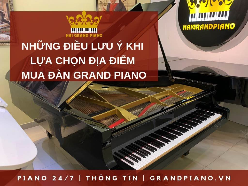 NHỮNG ĐIỀU CẦN BIẾT KHI LỰA CHỌN ĐỊA ĐIỂM MUA ĐÀN GRAND PIANO