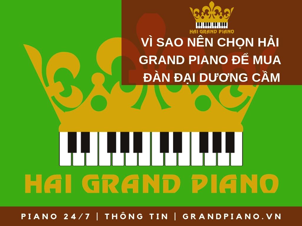 VÌ SAO CHỌN ĐÀN GRAND PIANO TẠI HẢI GRAND PIANO