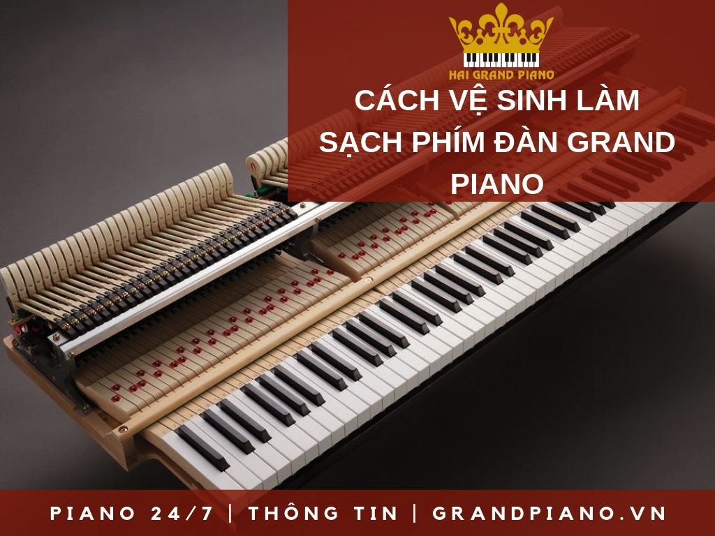 CÁCH VỆ SINH PHÍM ĐÀN GRAND PIANO