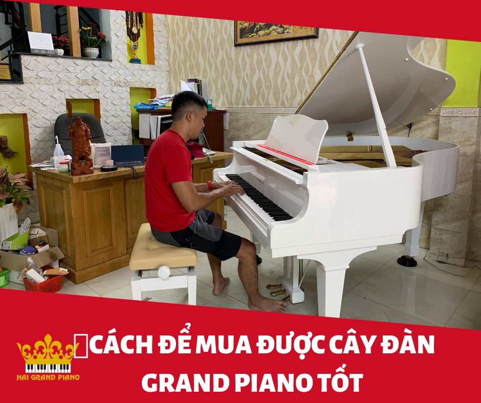 Cách Để Chọn Mua Đàn Grand Piano Tốt