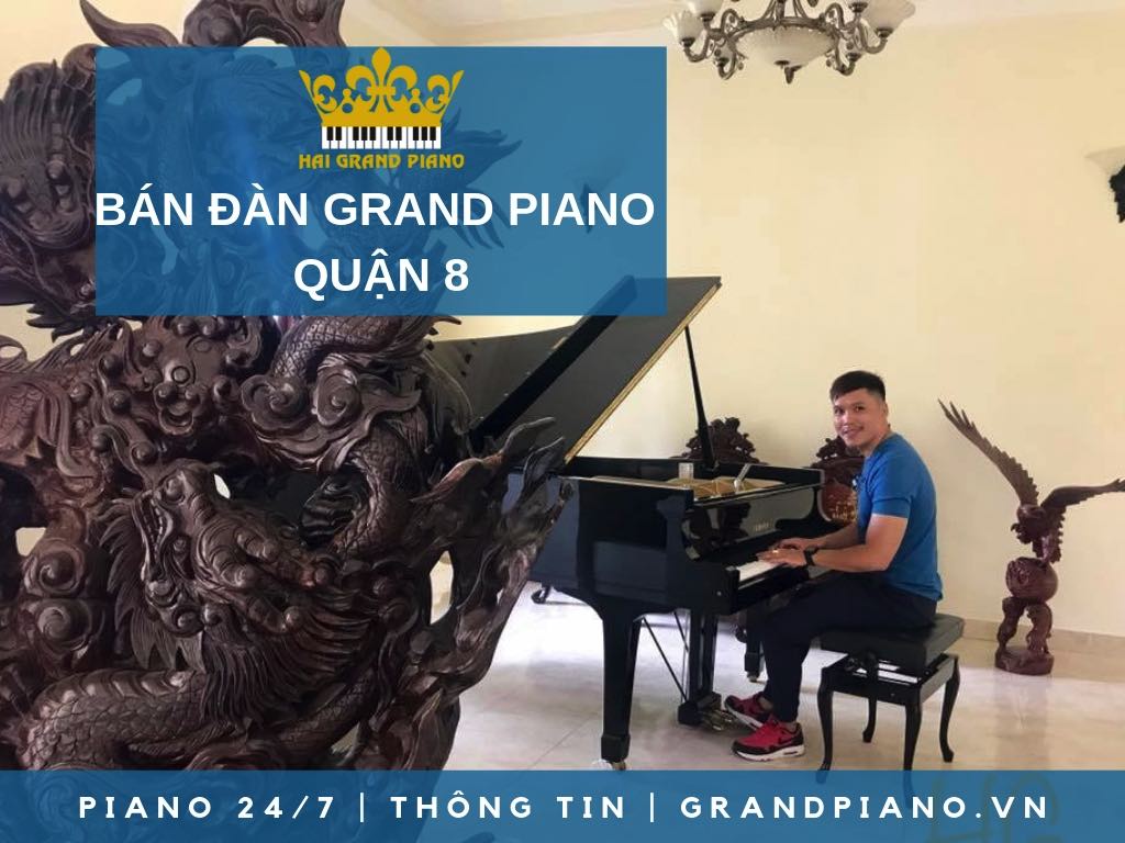 BÁN ĐÀN GRAND PIANO GIÁ RẺ QUẬN 8 - HẢI GRAND PIANO