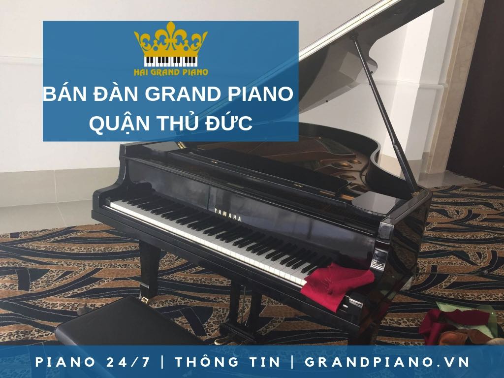 BÁN ĐÀN GRAND PIANO GIÁ RẺ QUẬN THỦ ĐỨC - HẢI GRAND PIANO
