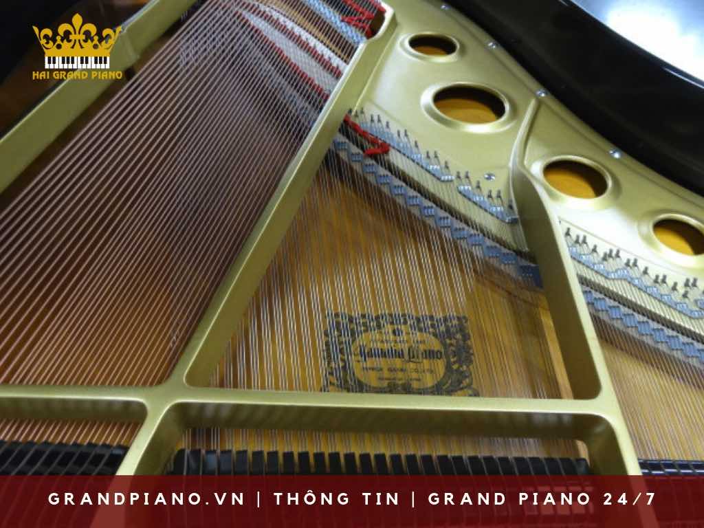 GRAND-YAMAHA-G3_005