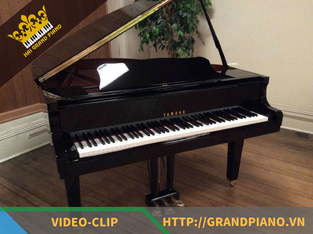 Lắp Ráp Đàn Grand Piano Yamaha G5E Nhà Khách Hàng